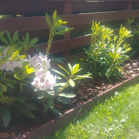 Apartament Jantar Z Ogrodem Kolobrzeg Dış mekan fotoğraf