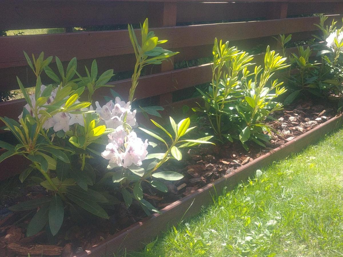 Apartament Jantar Z Ogrodem Kolobrzeg Dış mekan fotoğraf